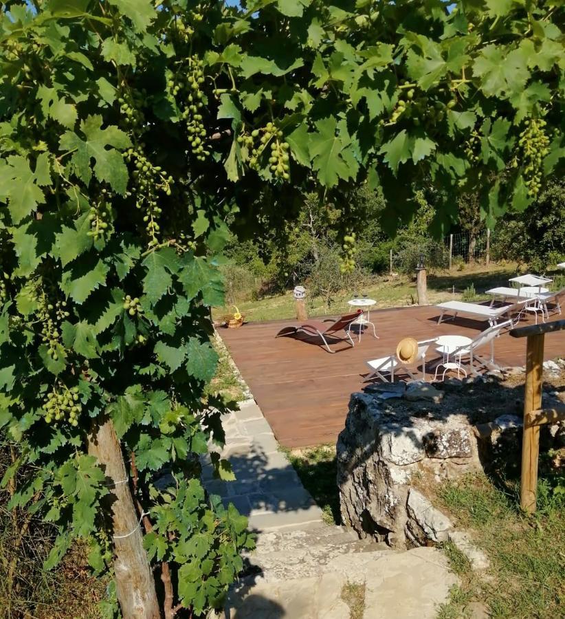 B&B Casagrande Quercegrossa Dış mekan fotoğraf